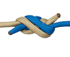 Surgeon's Knot (Fishing)
